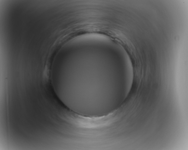 X0000089690035200707051633