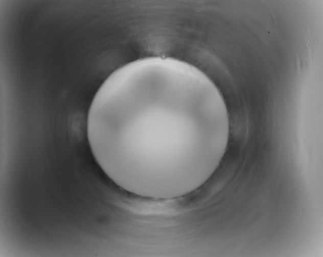 X0000089690036200707051633