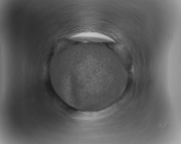 X0000089690037200707051633