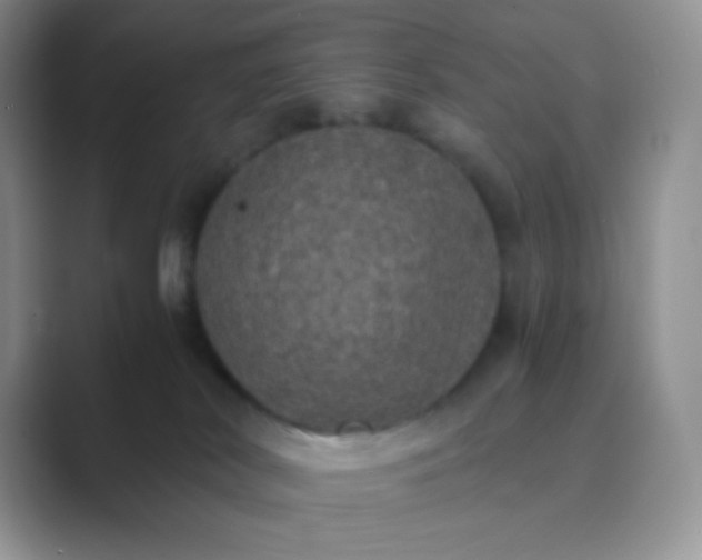 X0000089690038200707051633