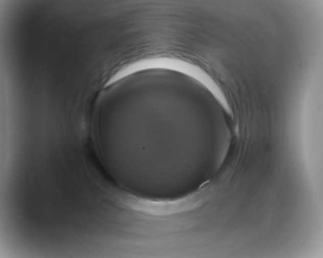 X0000089690039200707051633