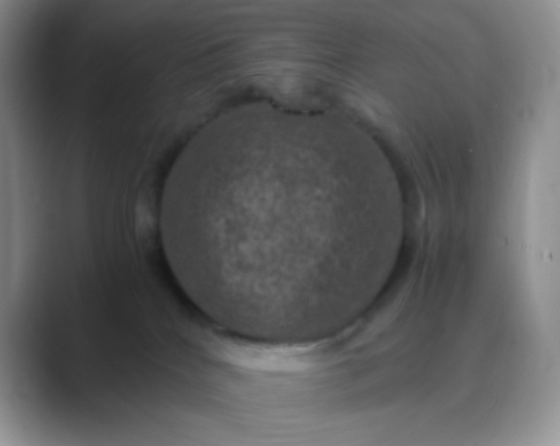 X0000089690040200707051633