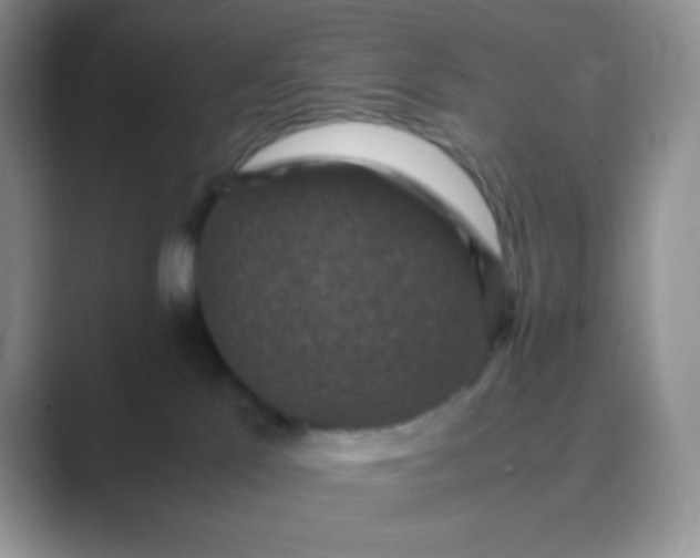 X0000089690041200707051633