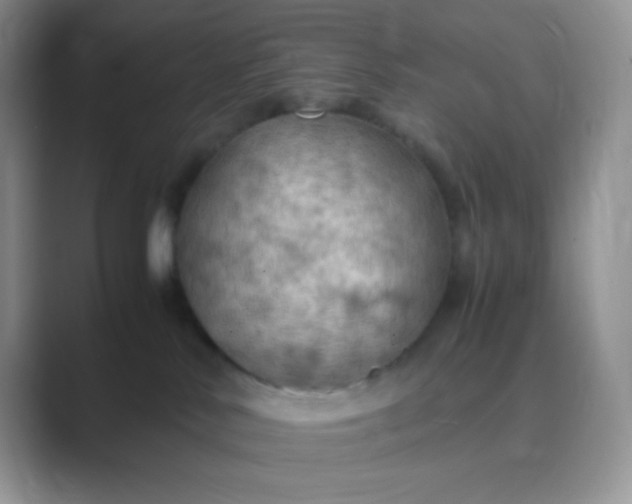 X0000089690042200707051633