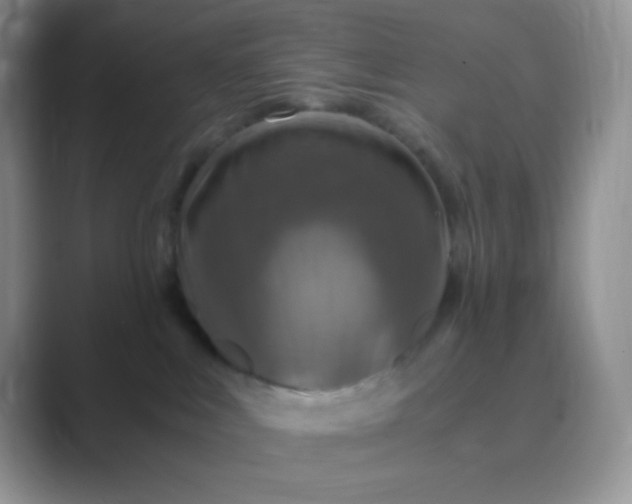 X0000089690043200707051633