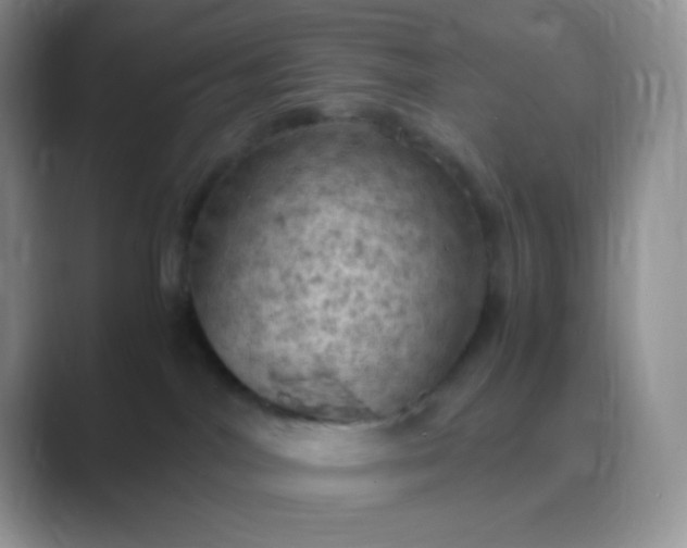 X0000089690044200707051633