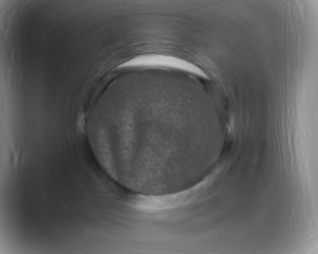 X0000089690045200707051633