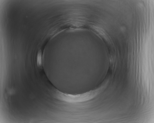 X0000089690046200707051633