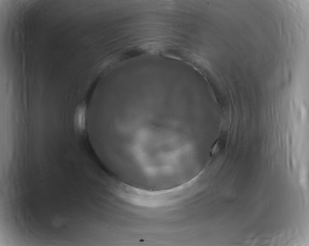 X0000089690047200707051633