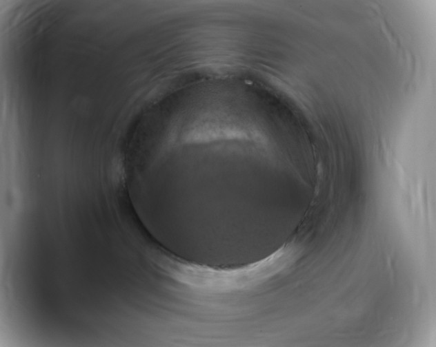 X0000089690048200707051633