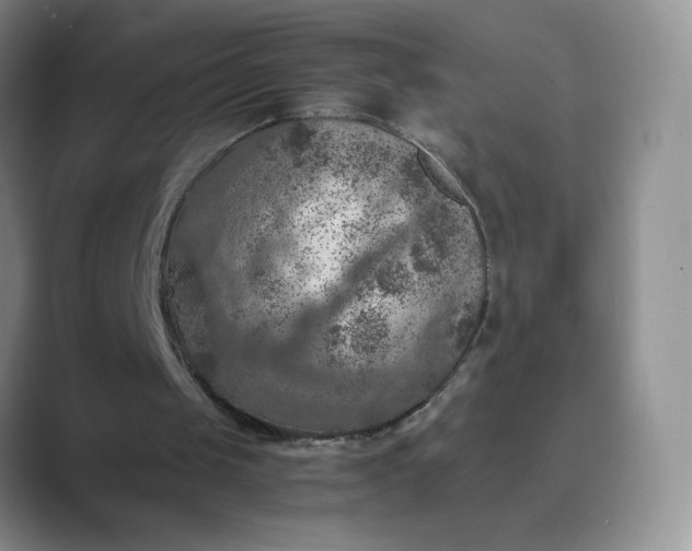 X0000089690049200707051633