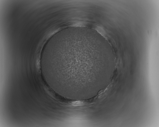 X0000089690050200707051633