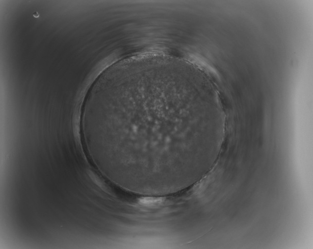 X0000089690051200707051633