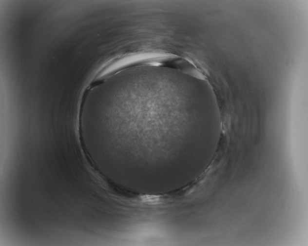 X0000089690052200707051633