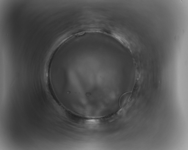 X0000089690053200707051633