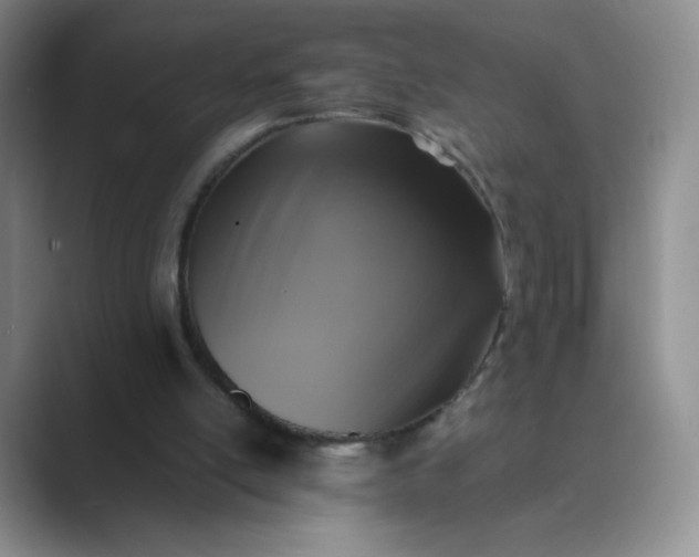 X0000089690054200707051633