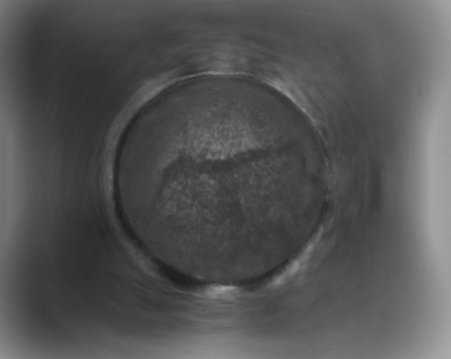 X0000089690055200707051633