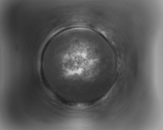 X0000089690056200707051633