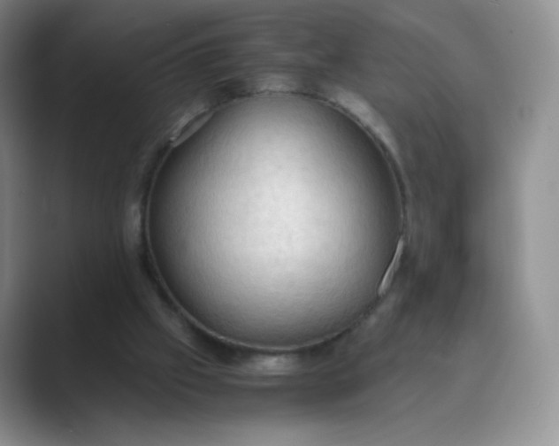 X0000089690057200707051633