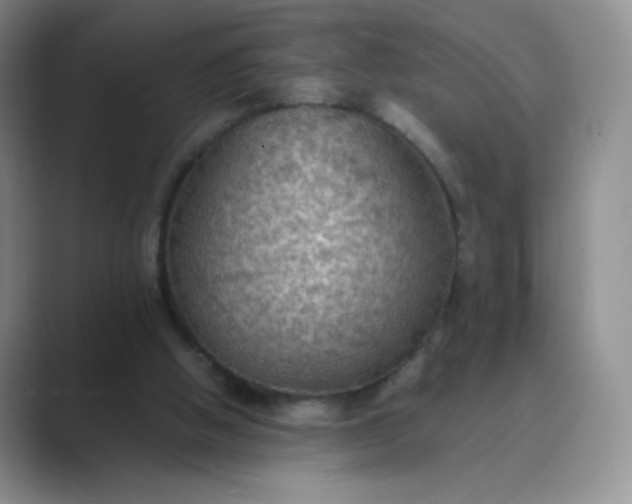 X0000089690058200707051633