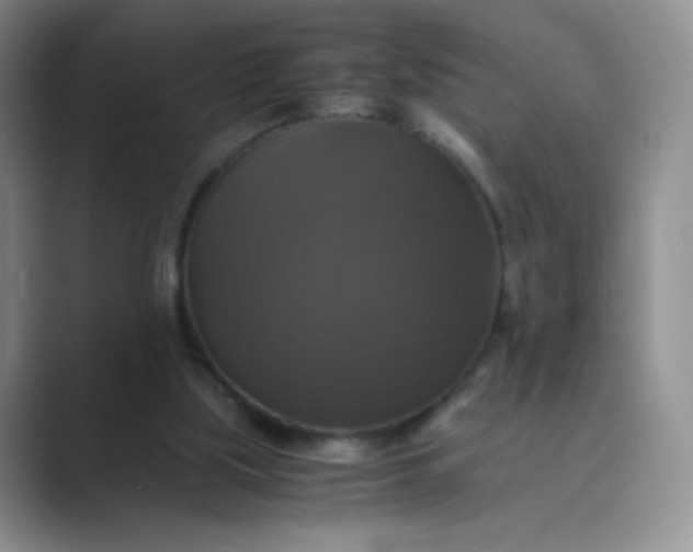 X0000089690059200707051633