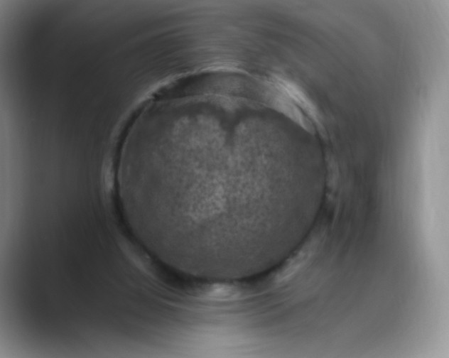 X0000089690060200707051633