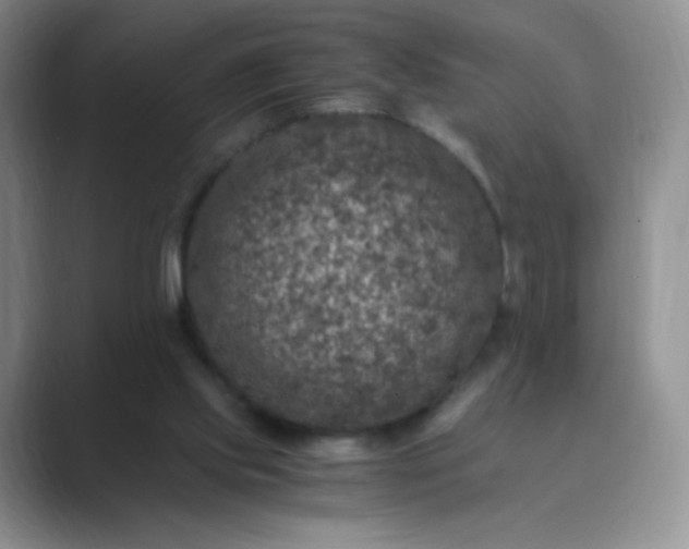 X0000089690061200707051633