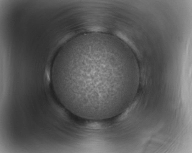 X0000089690062200707051633