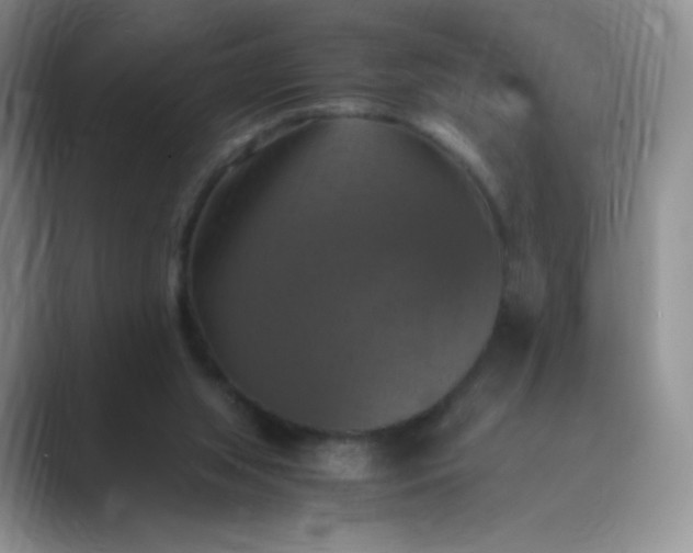 X0000089690063200707051633