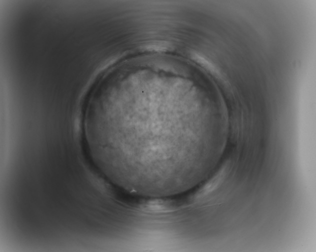 X0000089690064200707051633