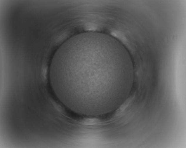 X0000089690066200707051633