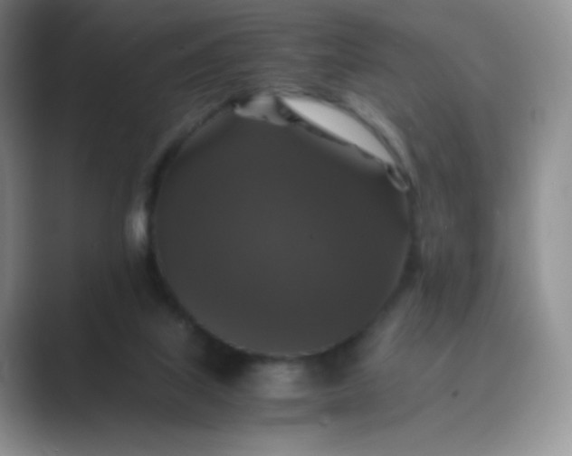 X0000089690067200707051633