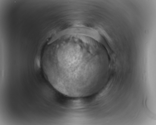 X0000089690068200707051633