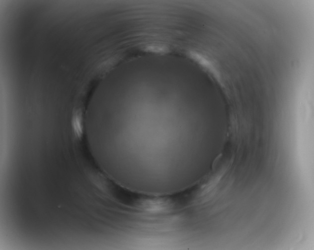 X0000089690069200707051633