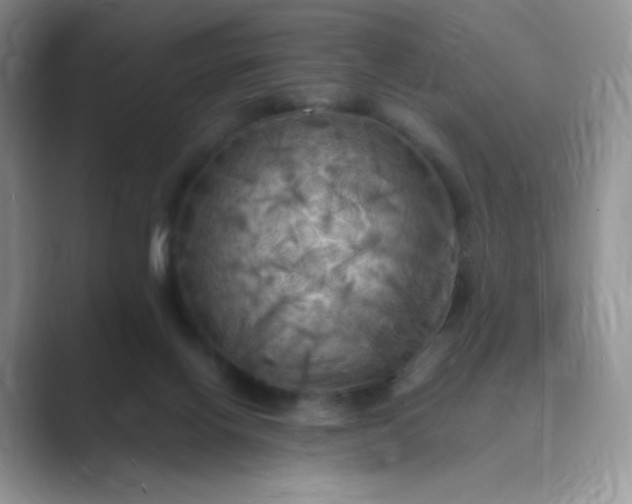 X0000089690070200707051633