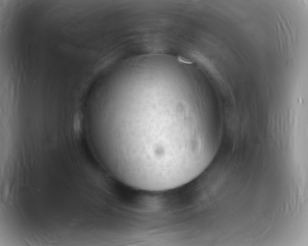 X0000089690071200707051633