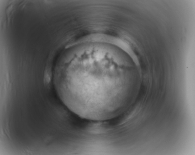 X0000089690072200707051633