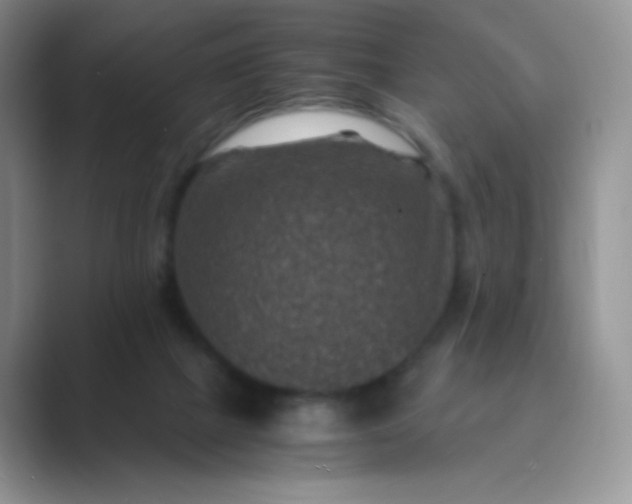 X0000089690073200707051633