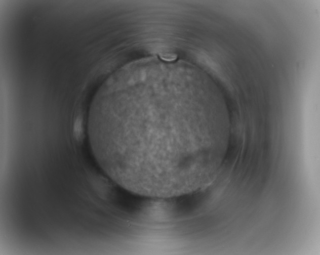 X0000089690074200707051633