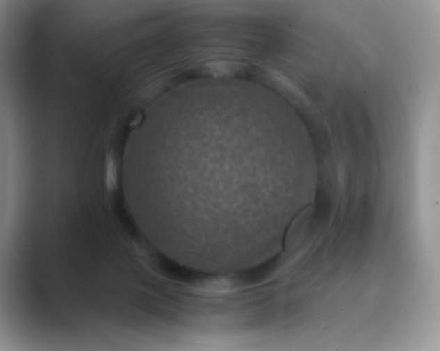 X0000089690075200707051633