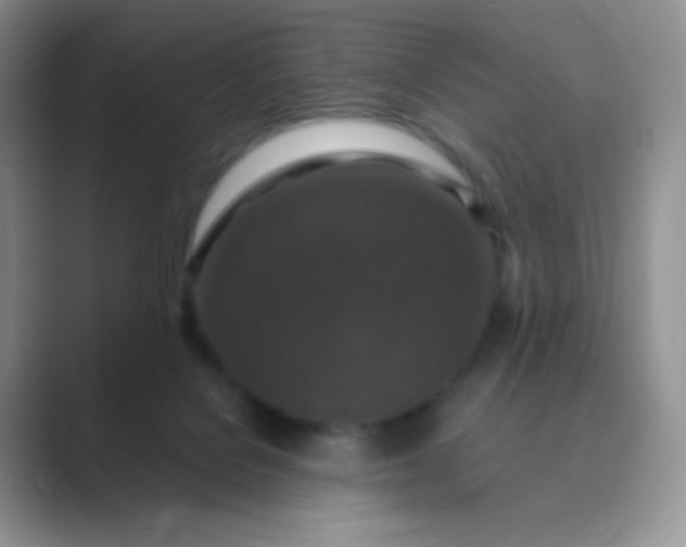 X0000089690076200707051633