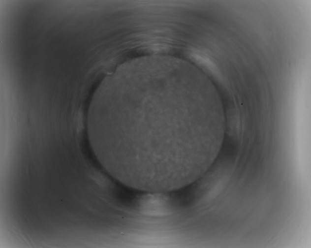 X0000089690077200707051633