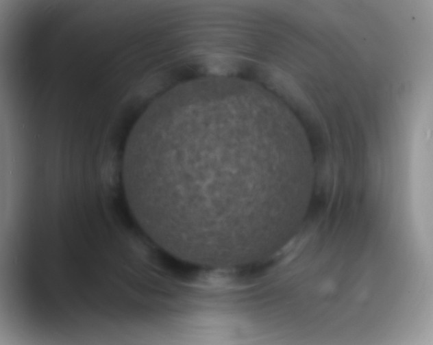 X0000089690078200707051633