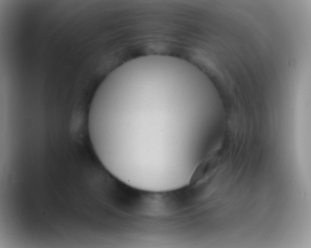 X0000089690079200707051633