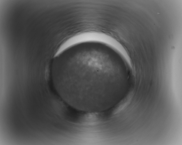 X0000089690080200707051633