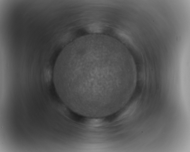 X0000089690081200707051633