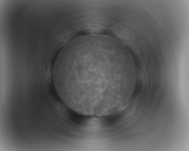 X0000089690082200707051633