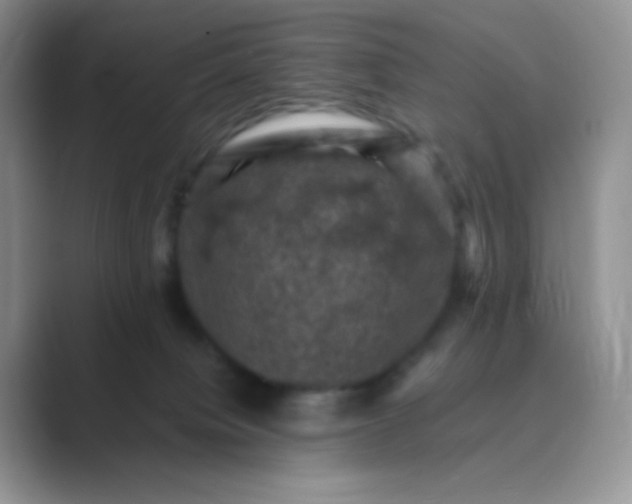 X0000089690084200707051633