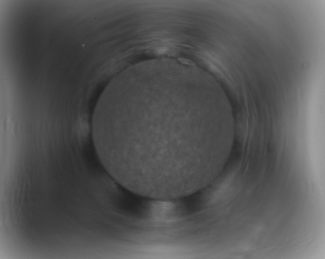 X0000089690085200707051633