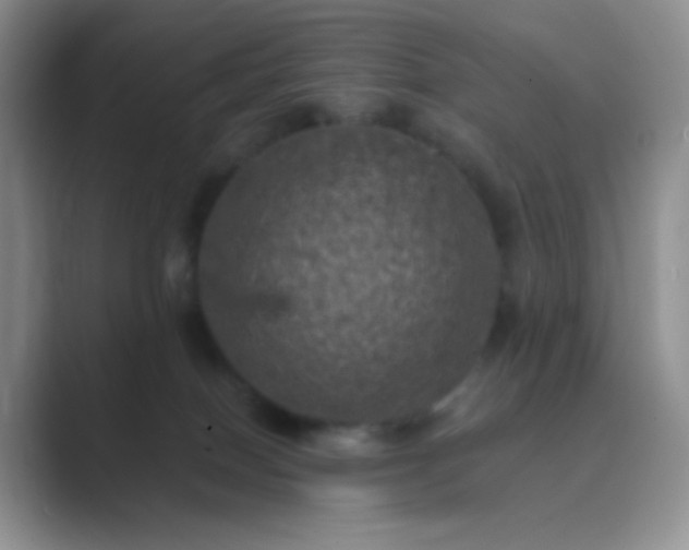 X0000089690086200707051633